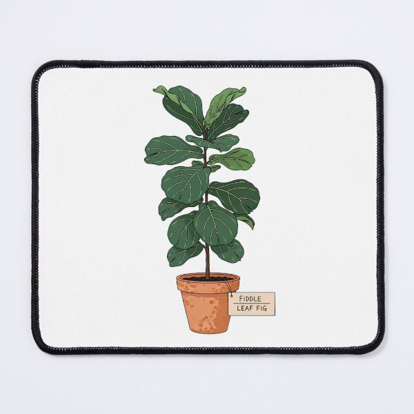 Item preview, Fiddle Leaf Fig Houseplant Botanical Illustration designed and sold by k3rstman1.