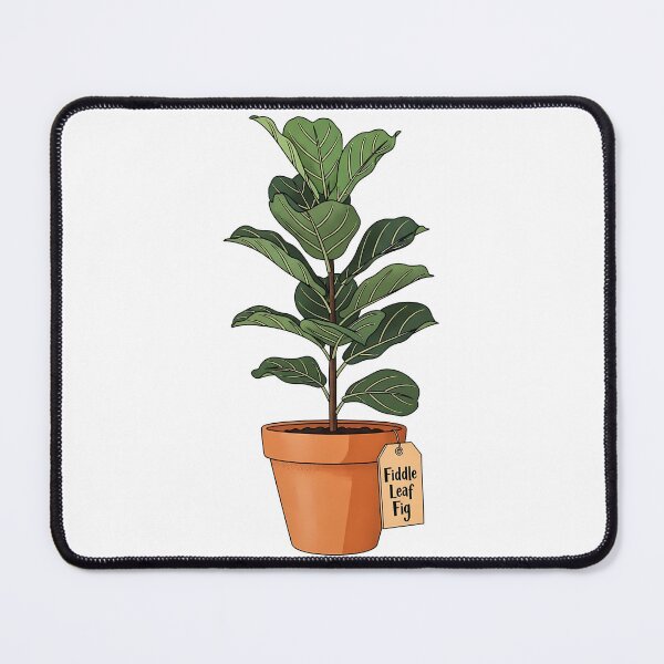 Item preview, Fiddle Leaf Fig Houseplant Botanical Greenery designed and sold by k3rstman1.