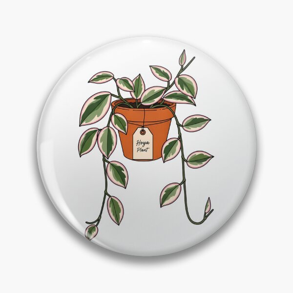 Item preview, Cute Variegated Hoya Plant Botanical Houseplant designed and sold by k3rstman1.