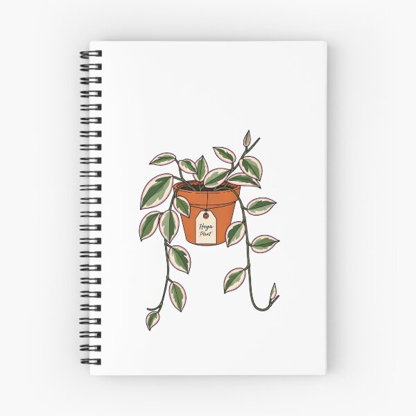 Item preview, Cute Variegated Hoya Plant Botanical Houseplant designed and sold by k3rstman1.