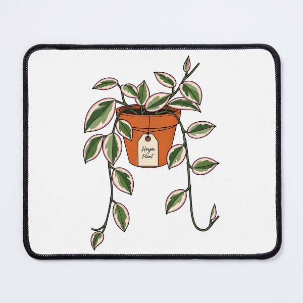 Item preview, Cute Variegated Hoya Plant Botanical Houseplant designed and sold by k3rstman1.