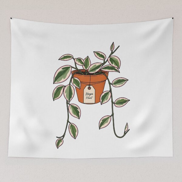 Item preview, Cute Variegated Hoya Plant Botanical Houseplant designed and sold by k3rstman1.