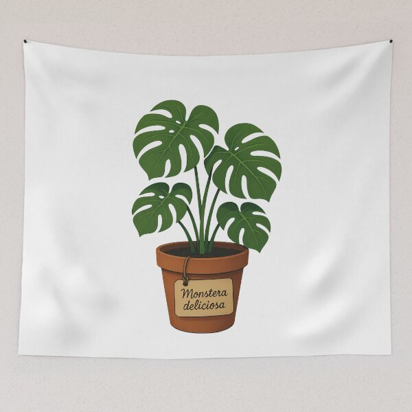 Item preview, Monstera Deliciosa Potted Tropical Houseplant designed and sold by k3rstman1.