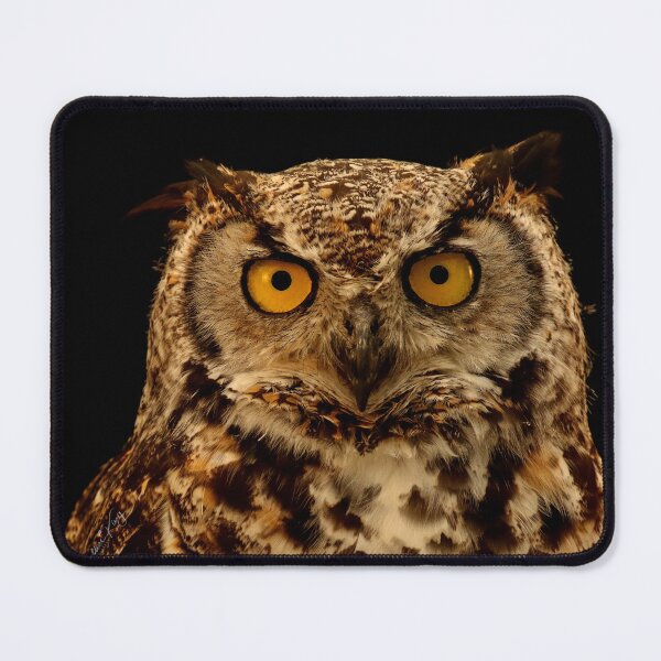 Item preview, Nocturnal Neighbour designed and sold by locustgirl.