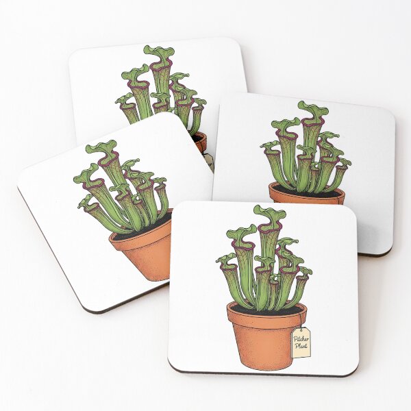 Item preview, Vintage Pitcher Plant Botanical Houseplant Illustration designed and sold by k3rstman1.