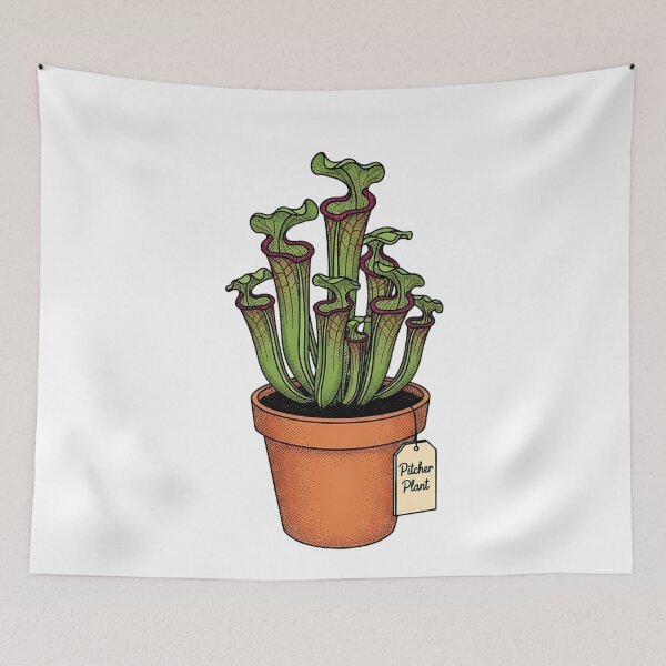 Item preview, Vintage Pitcher Plant Botanical Houseplant Illustration designed and sold by k3rstman1.