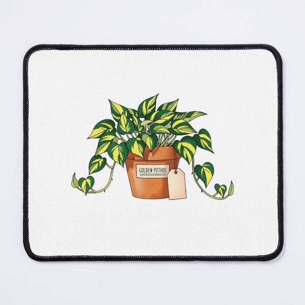 Item preview, Potted Golden Pothos Houseplant Illustration designed and sold by k3rstman1.