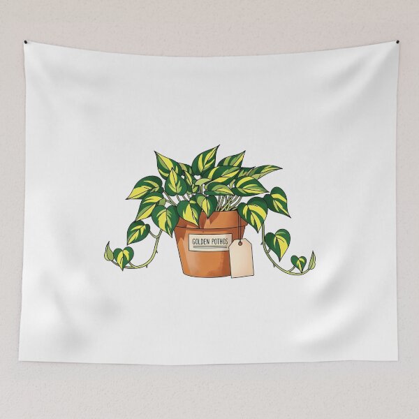 Item preview, Potted Golden Pothos Houseplant Illustration designed and sold by k3rstman1.