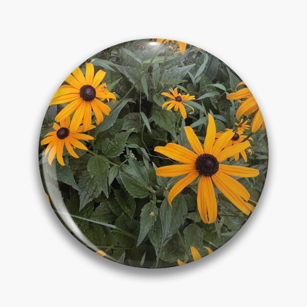Item preview, Black Eyed Susans designed and sold by explorgaytion.