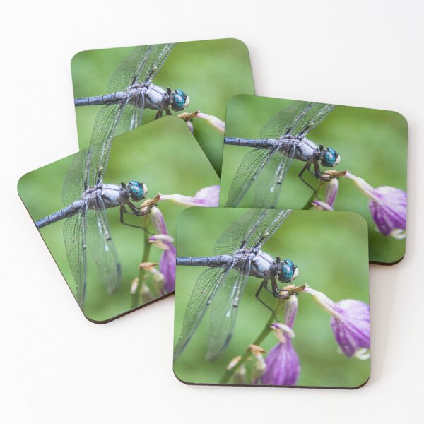 Item preview, Dragonfly - series 2 designed and sold by searchlight.