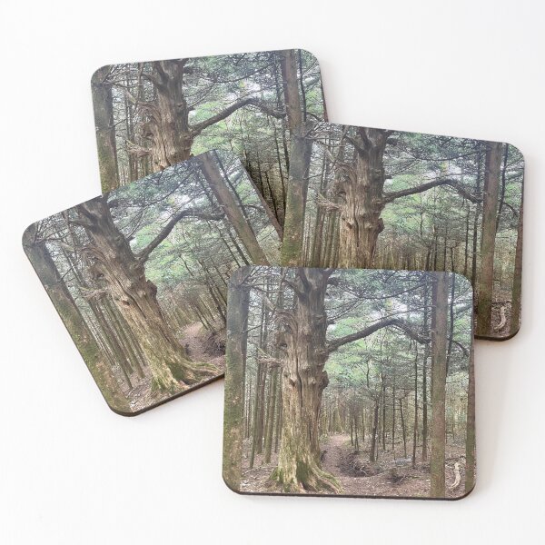 Item preview, Roan Highlands Tennessee designed and sold by explorgaytion.