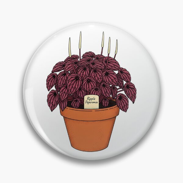 Item preview, Ripple Peperomia Houseplant Botanical Illustration designed and sold by k3rstman1.