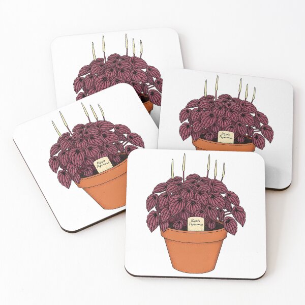 Item preview, Ripple Peperomia Houseplant Botanical Illustration designed and sold by k3rstman1.