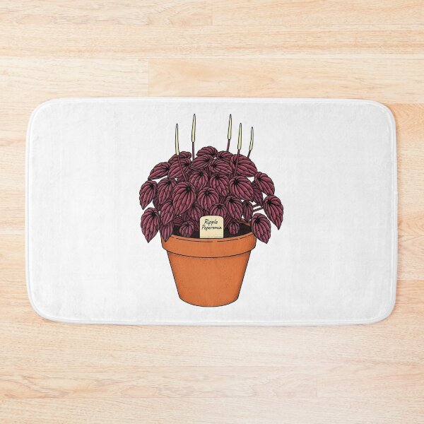 Item preview, Ripple Peperomia Houseplant Botanical Illustration designed and sold by k3rstman1.