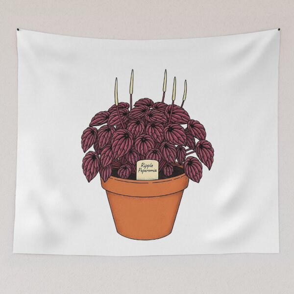 Item preview, Ripple Peperomia Houseplant Botanical Illustration designed and sold by k3rstman1.