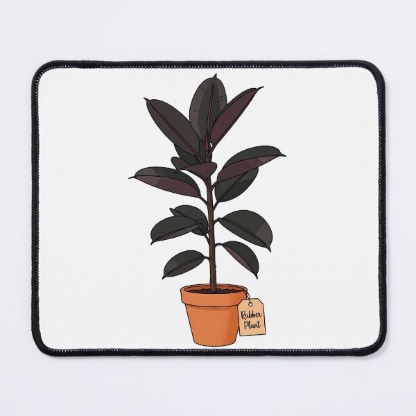 Item preview, Potted Rubber Plant Houseplant Botanical Illustration designed and sold by k3rstman1.