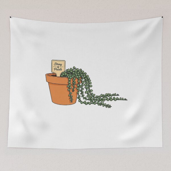 Item preview, Potted String of Pearls Succulent Houseplant designed and sold by k3rstman1.