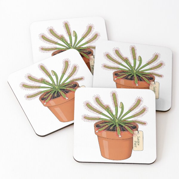 Item preview, Cute Potted Sundew Carnivorous Plant designed and sold by k3rstman1.