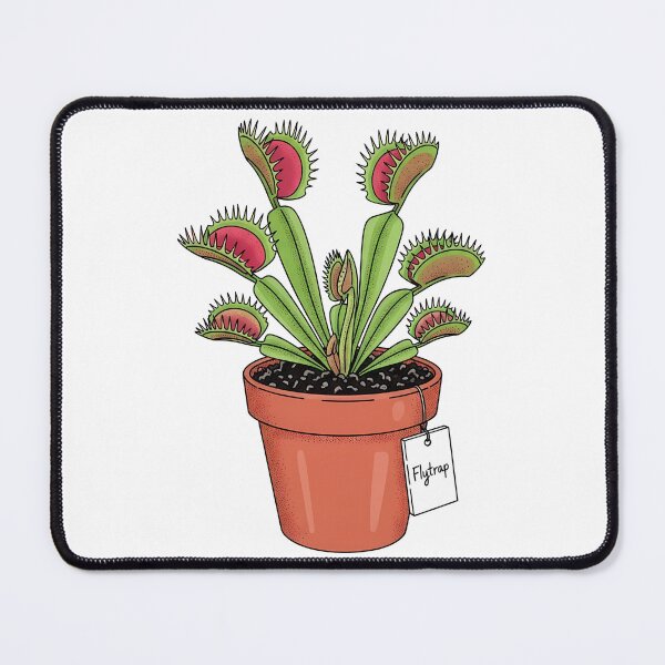 Item preview, Potted Venus Flytrap Carnivorous Plant Illustration designed and sold by k3rstman1.