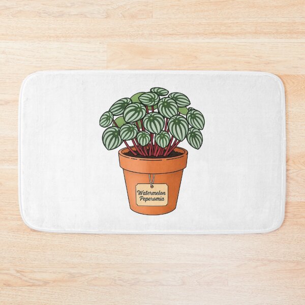 Item preview, Cute Watermelon Peperomia Potted Houseplant designed and sold by k3rstman1.