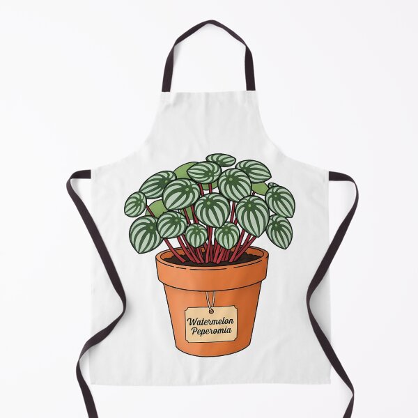 Item preview, Cute Watermelon Peperomia Potted Houseplant designed and sold by k3rstman1.