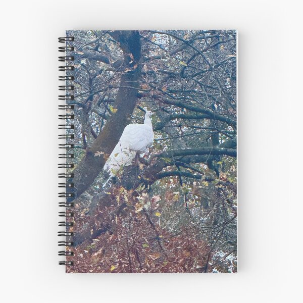 Item preview, White Peacock in Autumnal London. Holland Park designed and sold by The Running London Photographer.