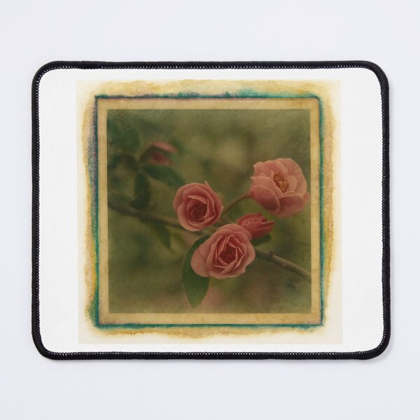 Item preview, Transfer of Roses designed and sold by Tridentulus.