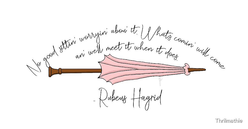 rubeus hagrid's wand