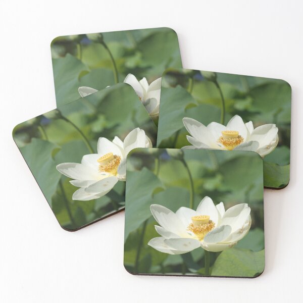 Item preview, White Lotus Flower in Full Bloom designed and sold by CPhotographs.