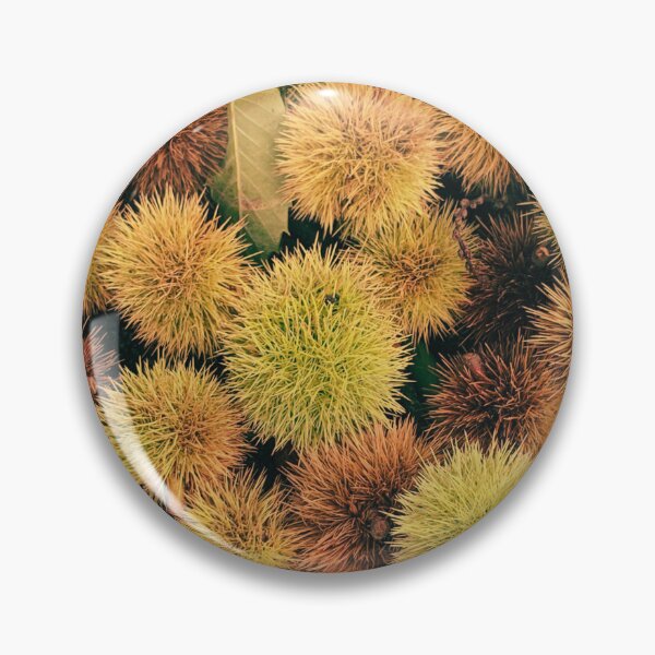 Item preview, Autumn Spiky Chestnut Burrs – Rustic Fall Nature Texture designed and sold by Dryft7.