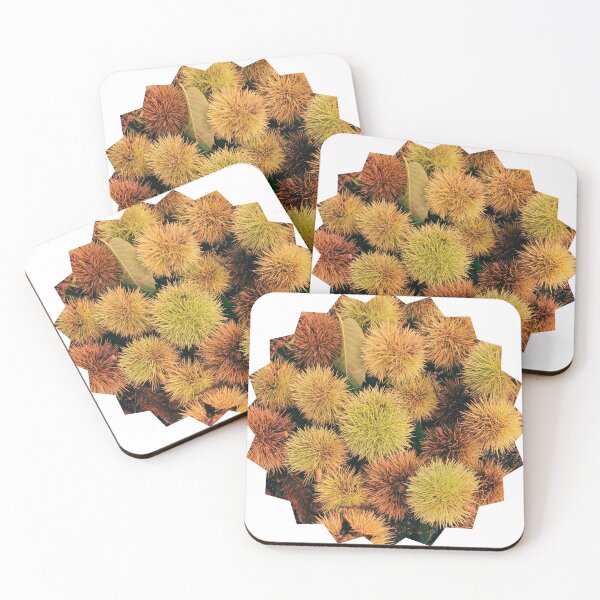 Item preview, Autumn Spiky Chestnut Burrs – Rustic Fall Nature Texture designed and sold by Dryft7.
