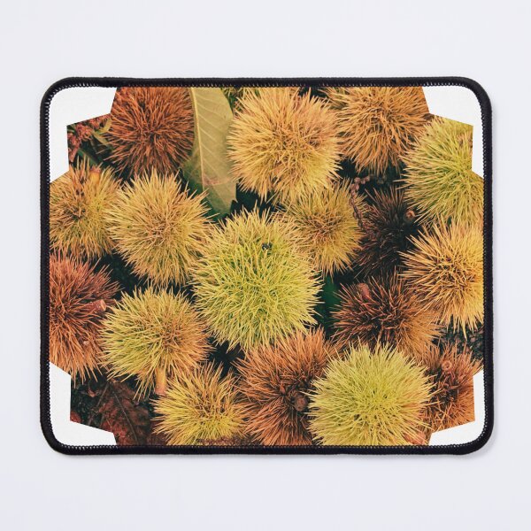 Item preview, Autumn Spiky Chestnut Burrs – Rustic Fall Nature Texture designed and sold by Dryft7.