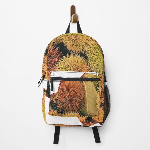 Item preview, Autumn Spiky Chestnut Burrs – Rustic Fall Nature Texture designed and sold by Dryft7.