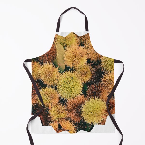 Item preview, Autumn Spiky Chestnut Burrs – Rustic Fall Nature Texture designed and sold by Dryft7.