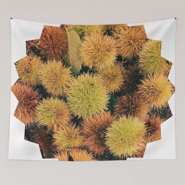 Item preview, Autumn Spiky Chestnut Burrs – Rustic Fall Nature Texture designed and sold by Dryft7.