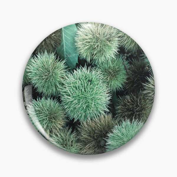 Item preview, Autumn Spiky Chestnut Burrs – Rustic Fall Nature Texture designed and sold by Dryft7.