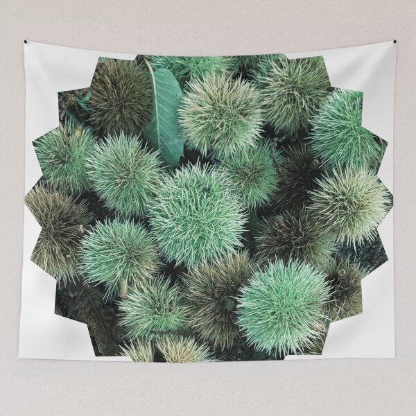 Item preview, Autumn Spiky Chestnut Burrs – Rustic Fall Nature Texture designed and sold by Dryft7.