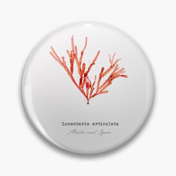 Item preview, Lomentaria articulata seaweed print designed and sold by Algaretum.