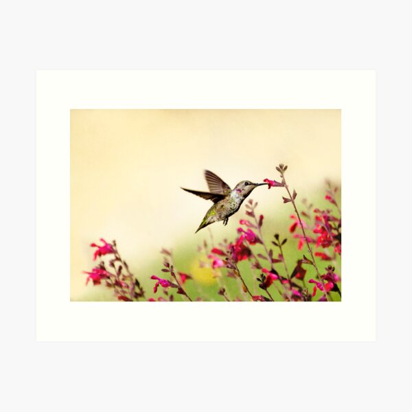 "The Tempest" Art Print