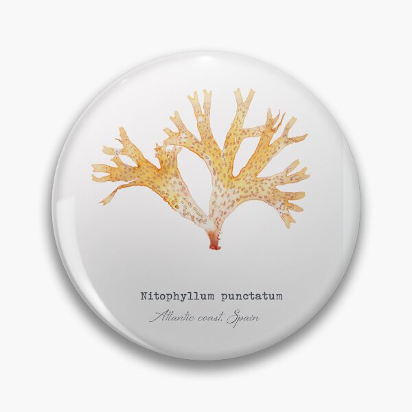 Item preview, Nitophyllum punctatum seaweed print designed and sold by Algaretum.