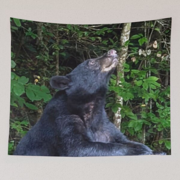 Item preview, Looking Up designed and sold by Elizabeth "Tibby" Steedly.