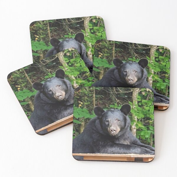 Item preview, Beautiful Bear designed and sold by Elizabeth "Tibby" Steedly.