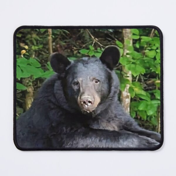 Item preview, Beautiful Bear designed and sold by Elizabeth "Tibby" Steedly.
