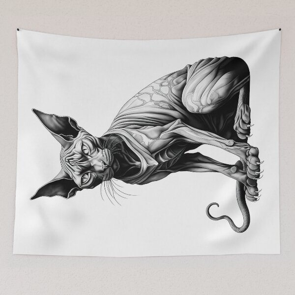 Item preview, Mythological Sphynx Cat Anatomical Art Print designed and sold by LanaGustavsson.