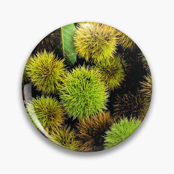 Item preview, Autumn Spiky Chestnut Burrs – Rustic Fall Nature Texture designed and sold by Dryft7.
