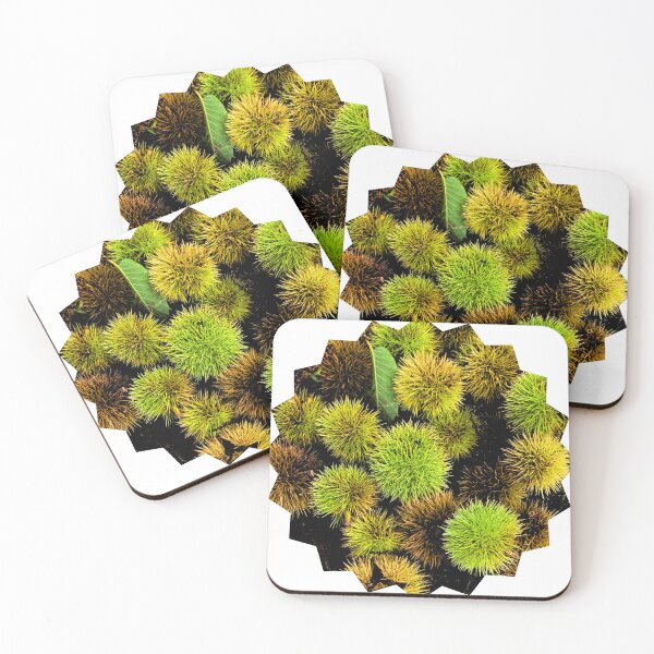 Item preview, Autumn Spiky Chestnut Burrs – Rustic Fall Nature Texture designed and sold by Dryft7.