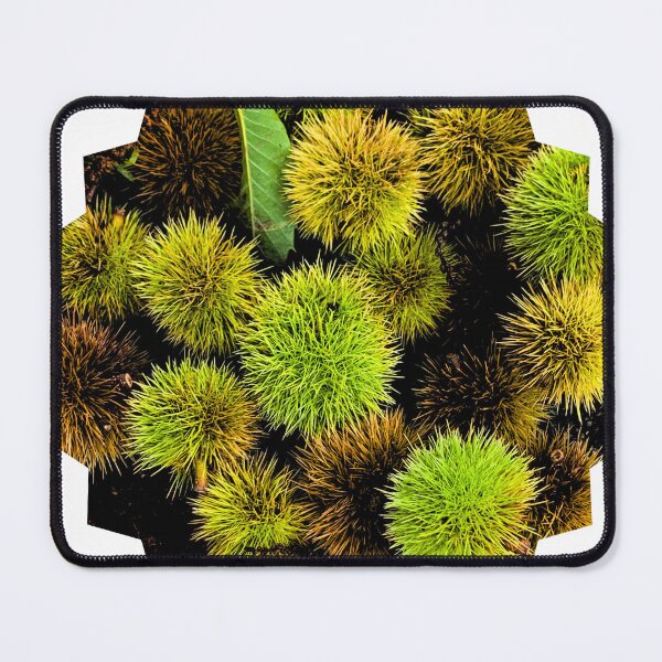 Item preview, Autumn Spiky Chestnut Burrs – Rustic Fall Nature Texture designed and sold by Dryft7.