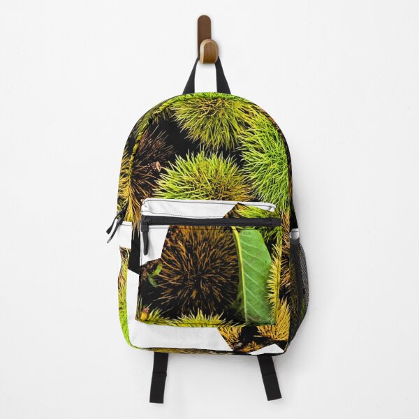 Item preview, Autumn Spiky Chestnut Burrs – Rustic Fall Nature Texture designed and sold by Dryft7.