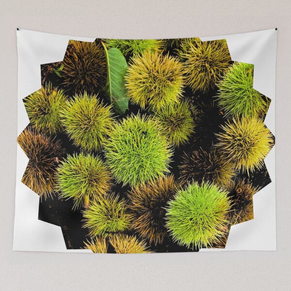 Item preview, Autumn Spiky Chestnut Burrs – Rustic Fall Nature Texture designed and sold by Dryft7.