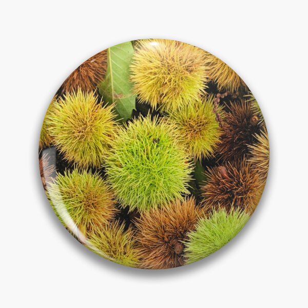 Item preview, Autumn Spiky Chestnut Burrs – Rustic Fall Nature Texture designed and sold by Dryft7.